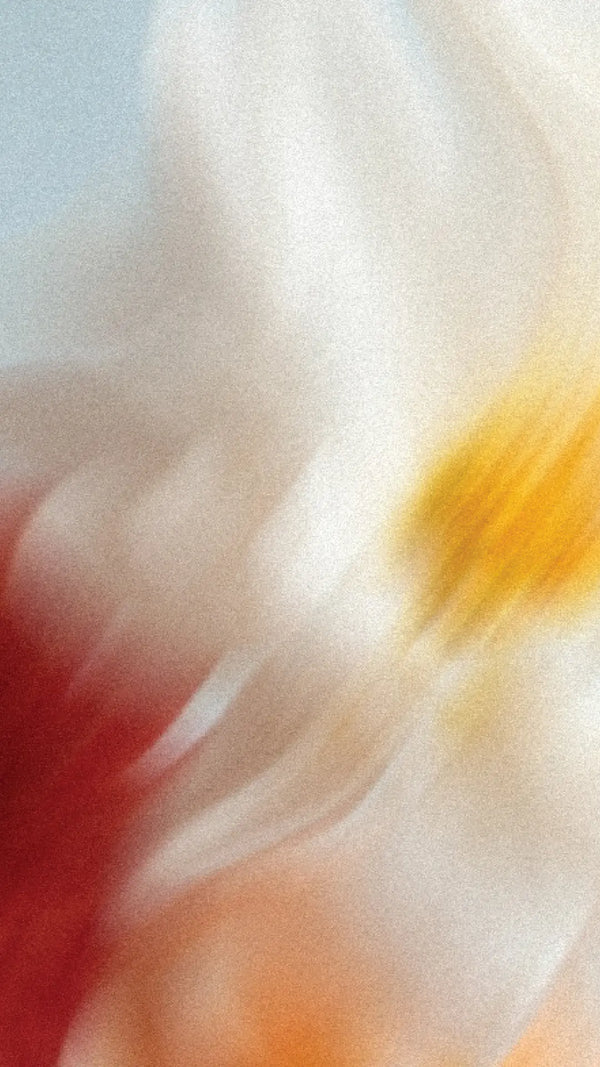 Orange Blossom