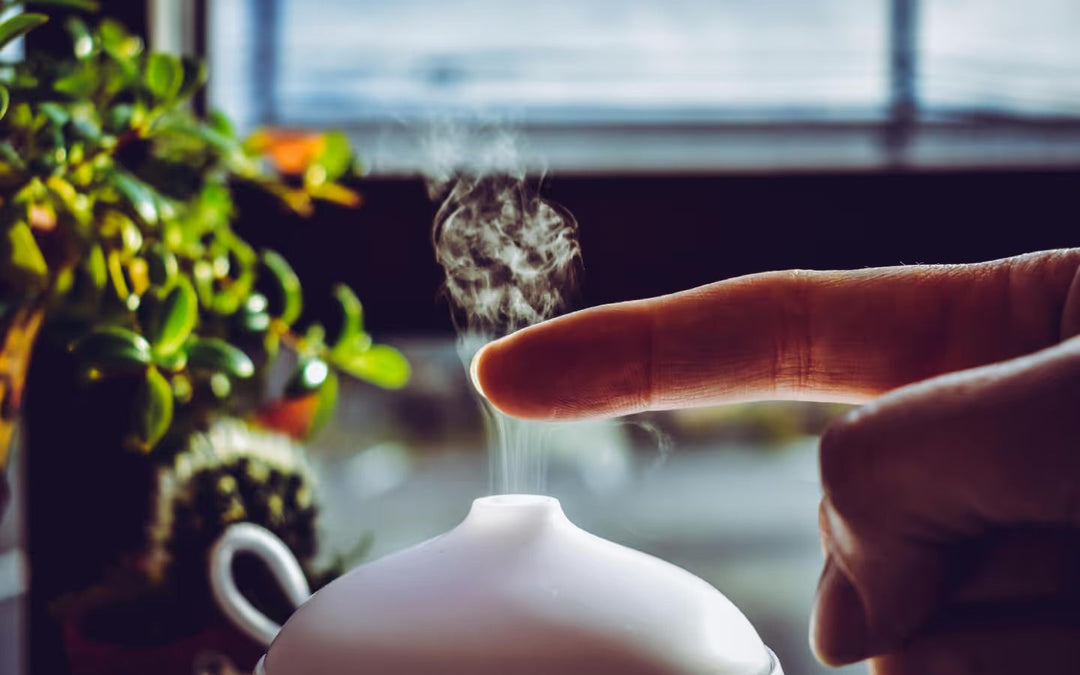 What’s the Best Scent Diffuser for Home? Our Top Pick Supports Sleep, Too